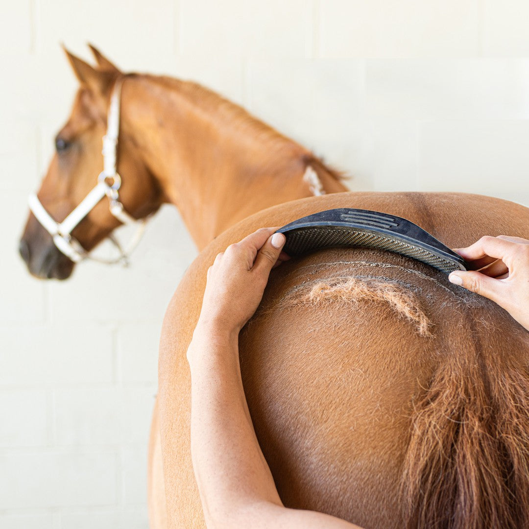 Horse grooming shedding blade best sale